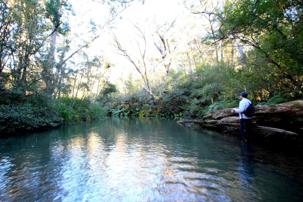 Trekking-for-Trout-Lure-Addicts-2