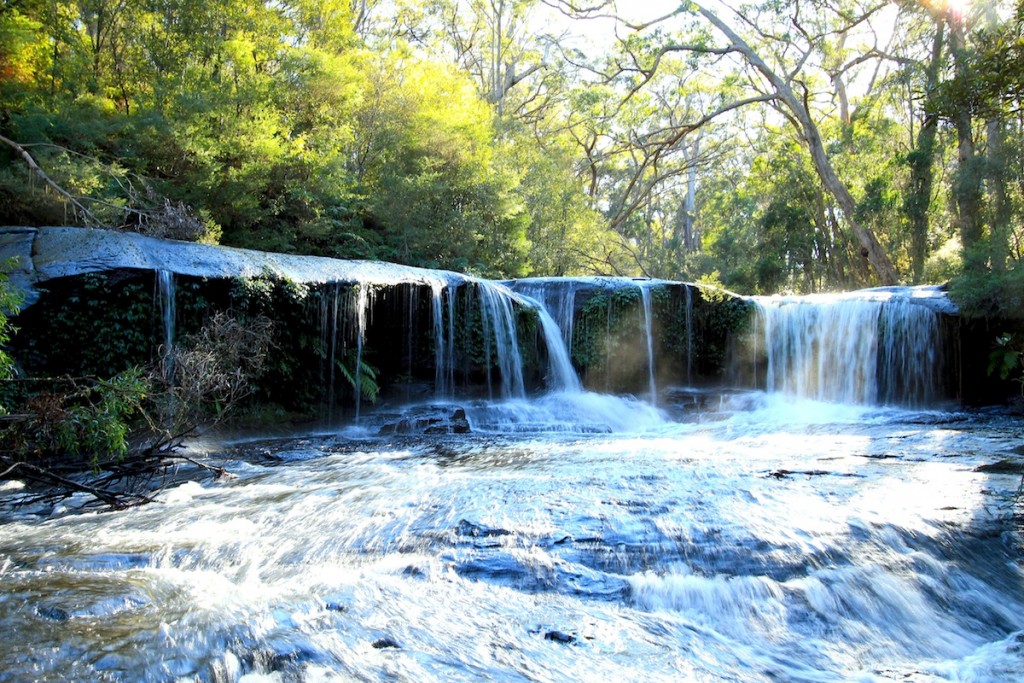 Trekking-for-Trout-Lure-Addicts-5