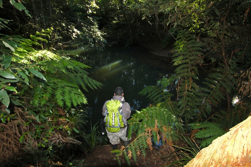 Trekking-for-Trout-Lure-Addicts-7