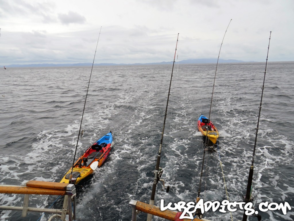 Ultimate-Kayak-Fishing-Trip-NZ-Day2-7-Lure-Addicts