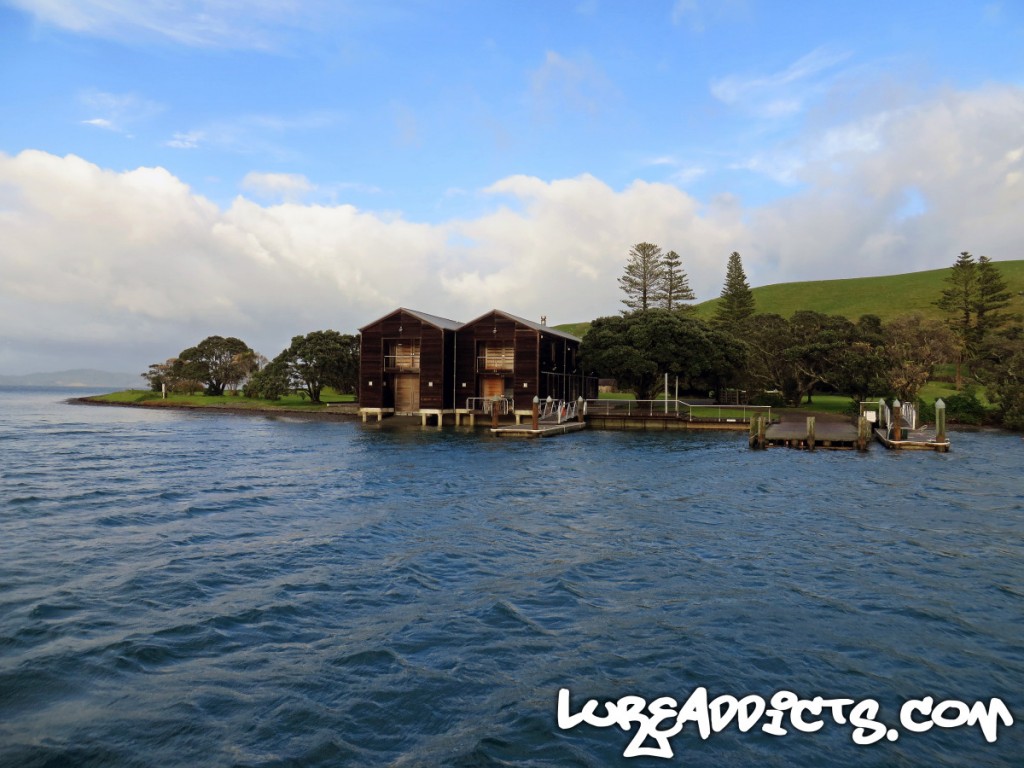 Ultimate-Kayak-Fishing-Trip-NZ-Day3-3-Lure-Addicts