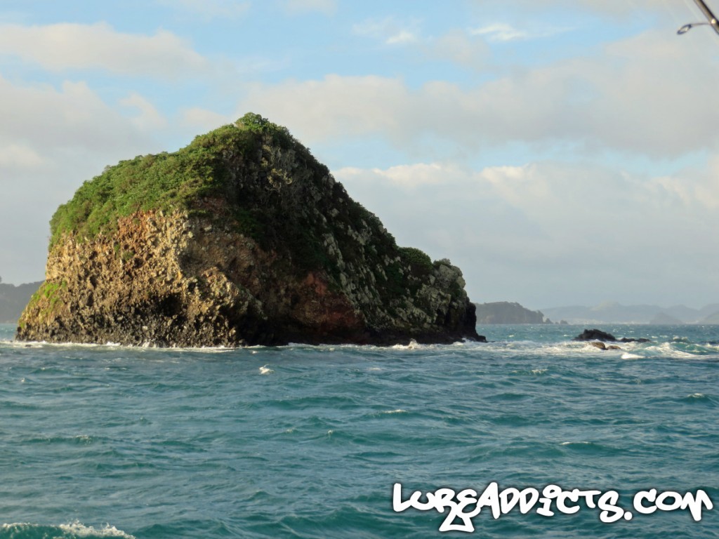 Ultimate-Kayak-Fishing-Trip-NZ-Day3-4-Lure-Addicts