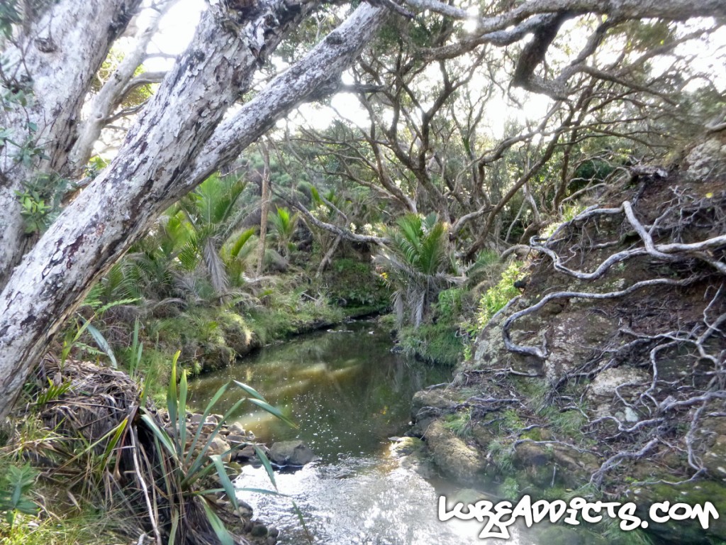 Ultimate-Kayak-Fishing-Trip-NZ-Day3-15-Lure-Addict