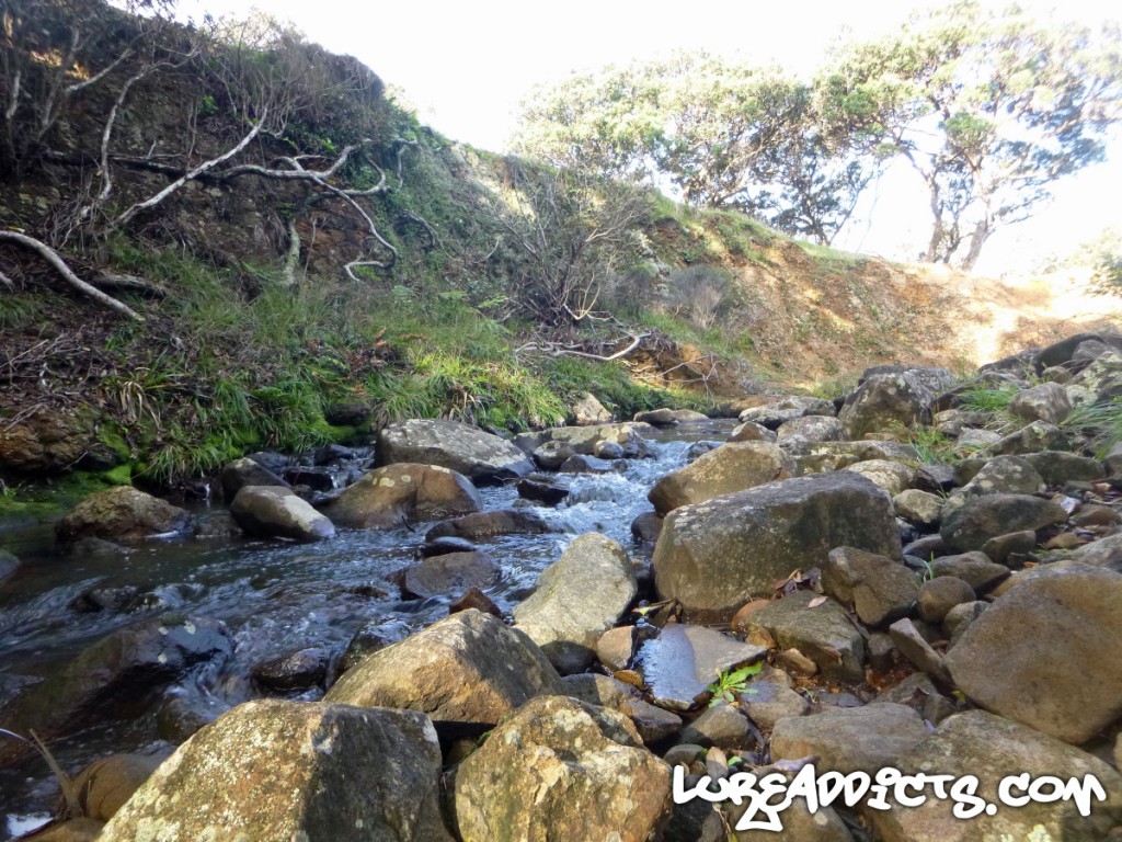 Ultimate-Kayak-Fishing-Trip-NZ-Day3-16-Lure-Addicts