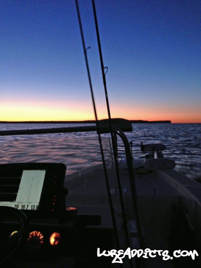 Saved-By-The-Squid-Lure-Addicts-2