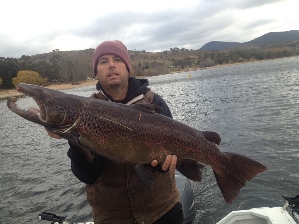 1888945_939699162728403_1091391882169224618_o